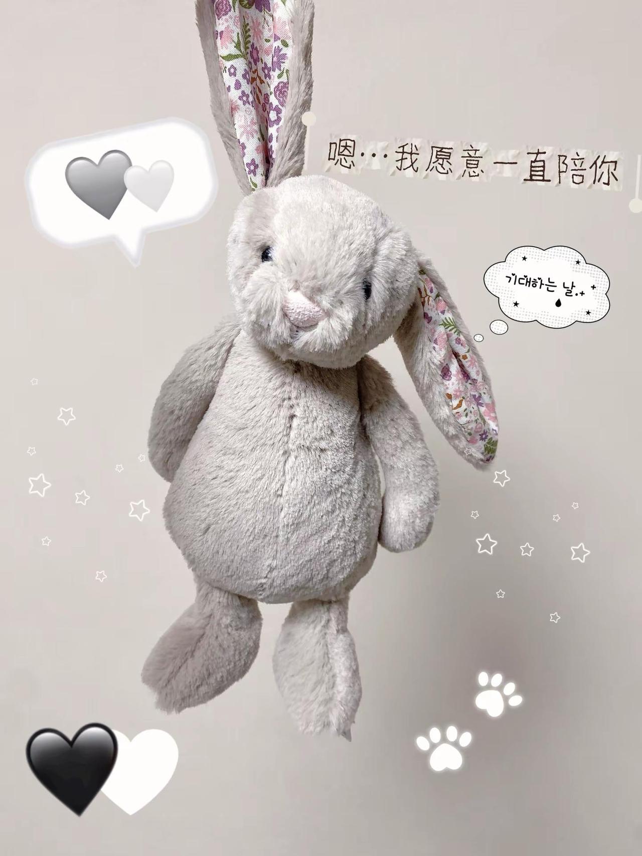 兔兔，我要去军训七天了，你愿意在宿舍陪我吗？🐰jellycat jellyca