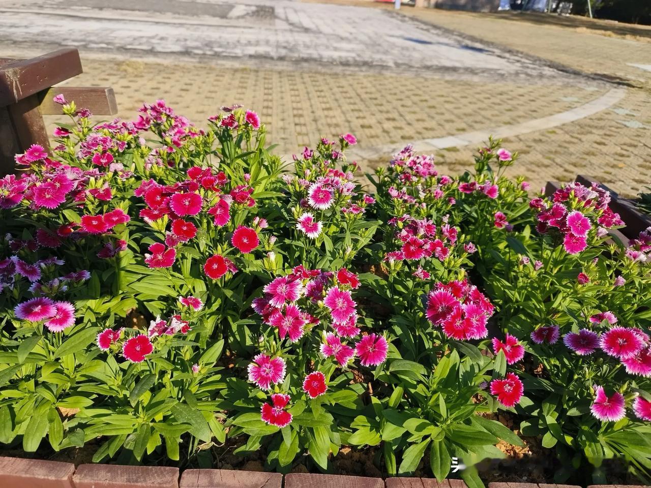 下联：春风漫卷百花艳。