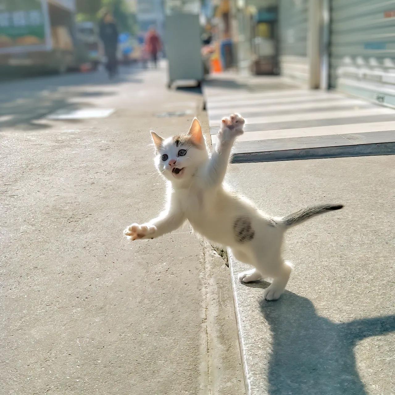 刚下楼去拿外卖，听到两人的对话，听完我也觉得特别尴尬，如果我是当事人，会有社死的