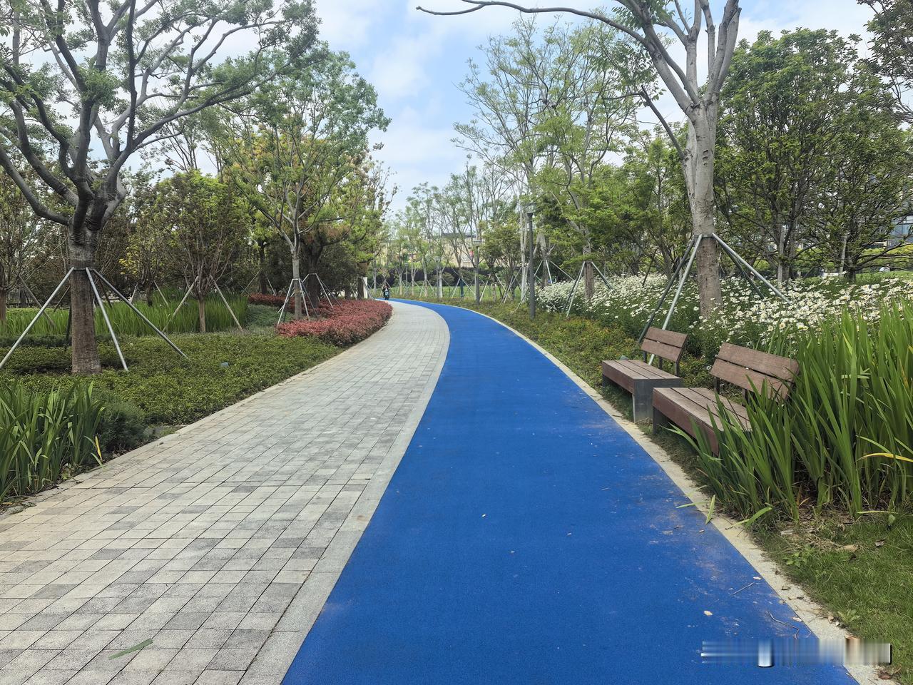 天蓝色的跑道

今天天气好，温度适宜，空气质量也优。本想绕金鸡湖转个圈（16Km