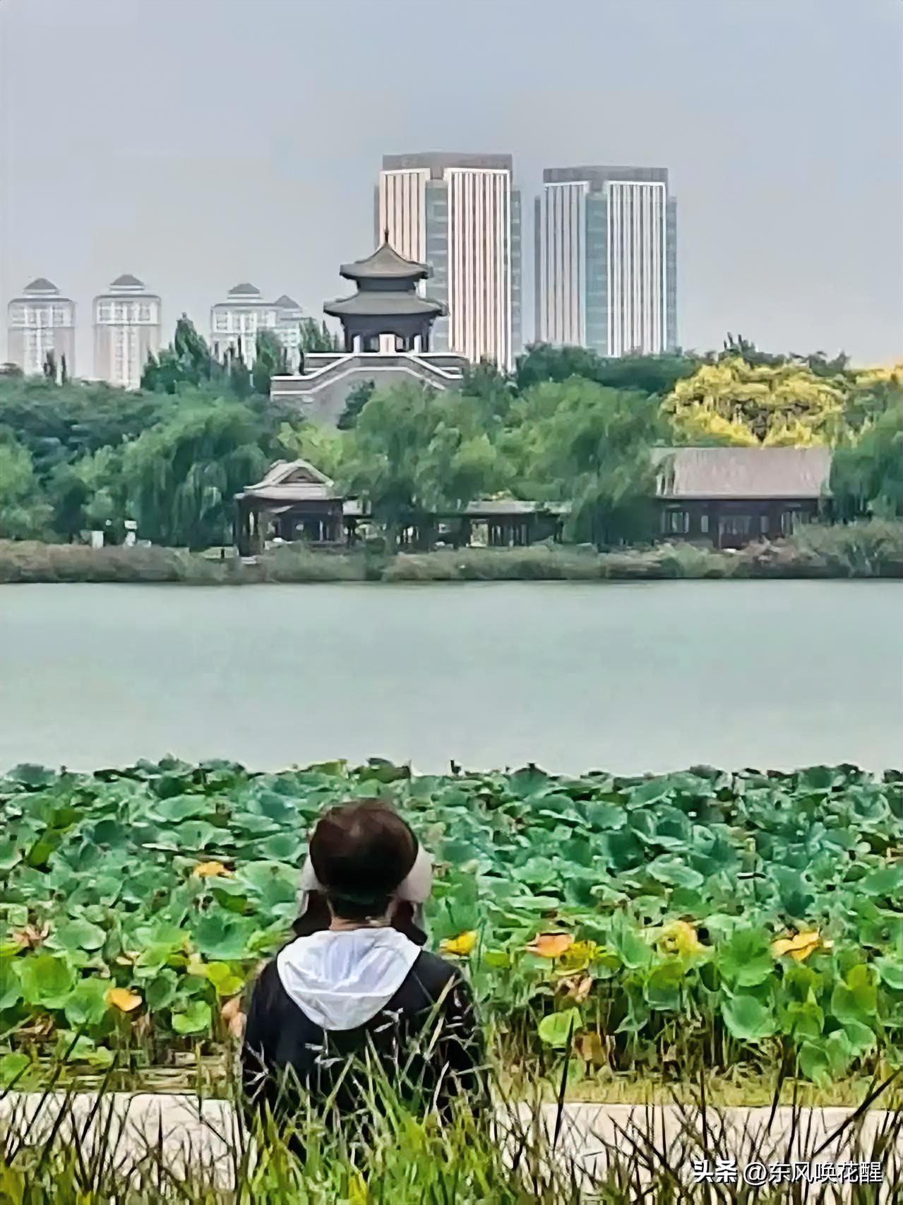 @豆包 帮我点评