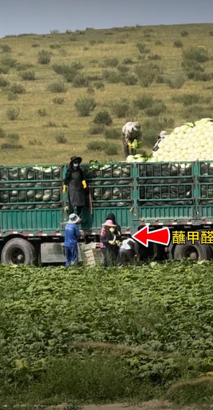 【华商报采访博主“渔猎齐哥”: 白菜蘸甲醛现场根本不避人 是公开常态化作业！】河