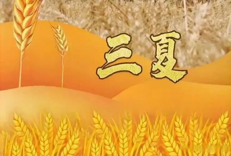 下联：
      三夏景色佳

夏日生活打卡季