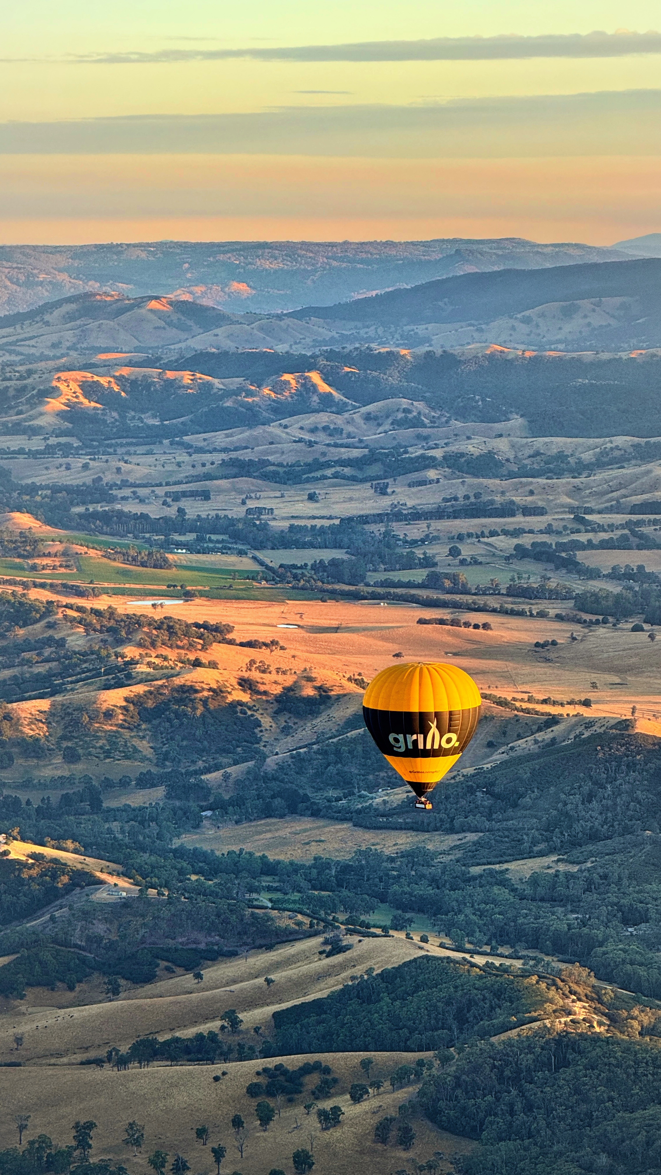早晨猫本🌅今天我们中国军团可以3进几呢？加油💪澳网2026鸣人堂网谈