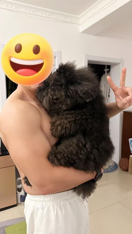 狗中重卡，粘人大卡车