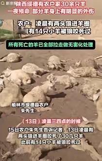 奇了怪了！9月15日陕西榆林，一村民半夜听到羊圈里有动静，就赶紧过去查看情况，结