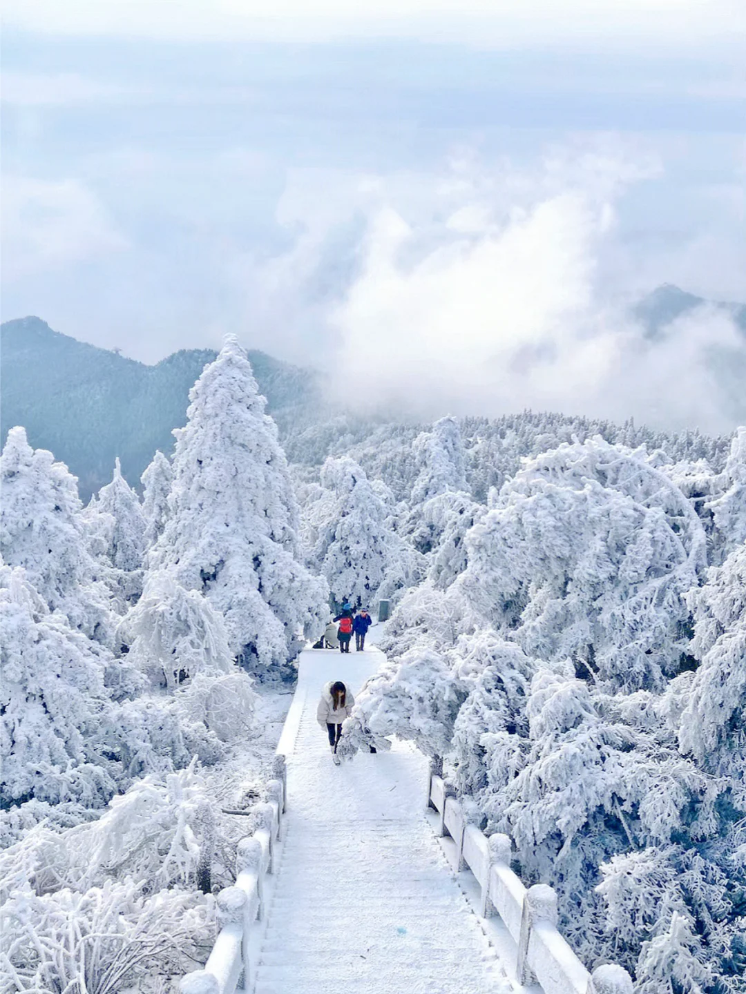 强烈建议：12-2月一定要去衡山看雾凇雪景！