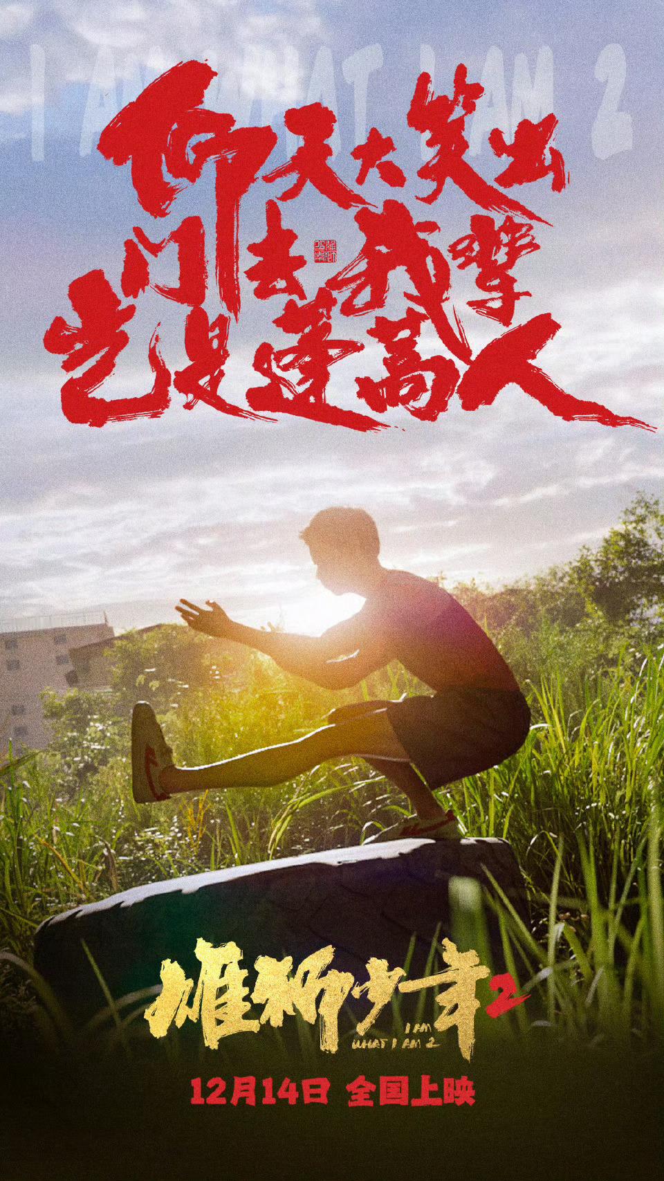 雄狮少年两部都去影院看了，借漫画的形式把传统文化再一次推向世界，让人们知晓我舞狮