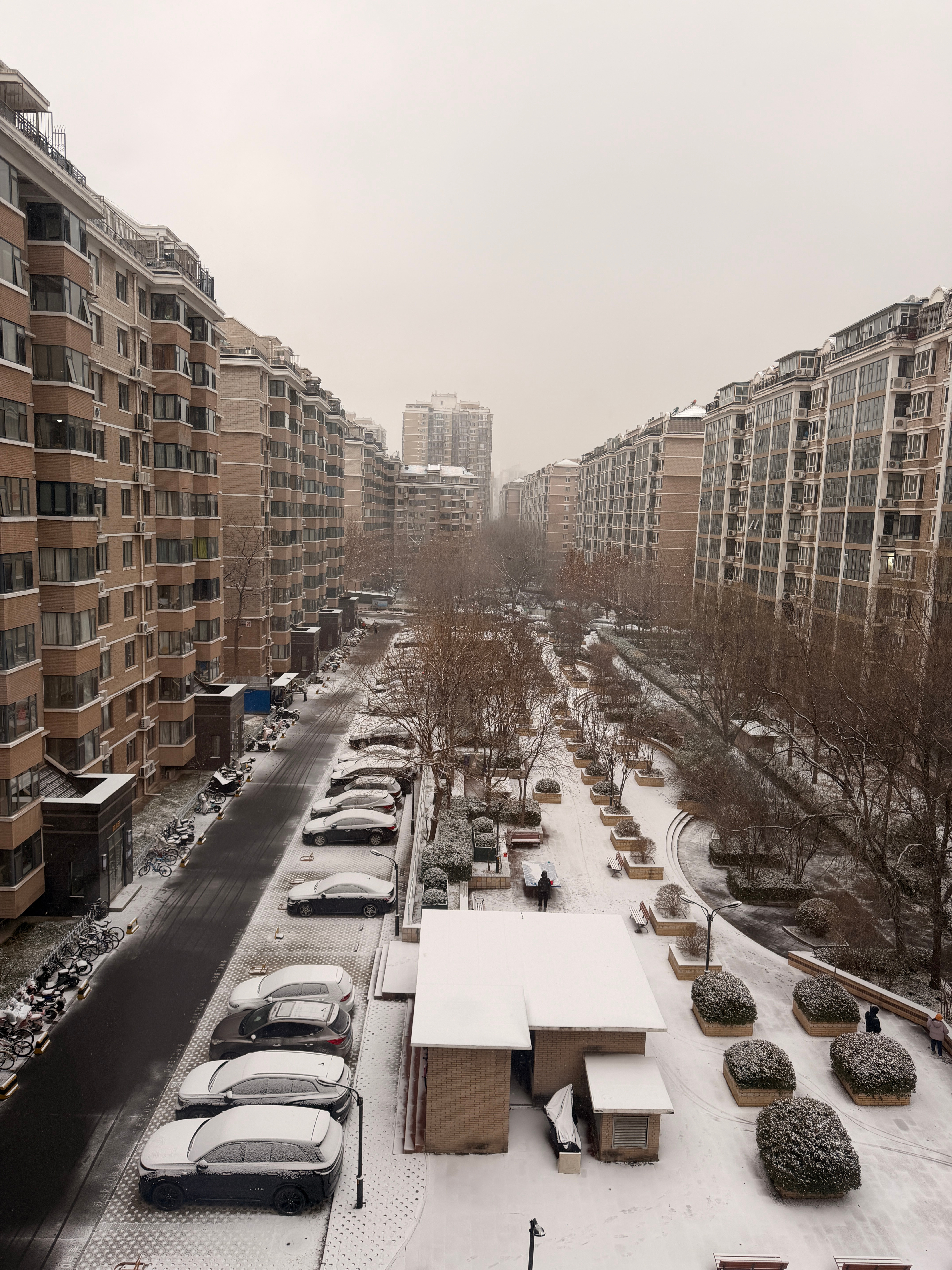 2025年的北京初❄️终于赶上了小伙伴们这一刻你在哪里？这一刻北京初雪
