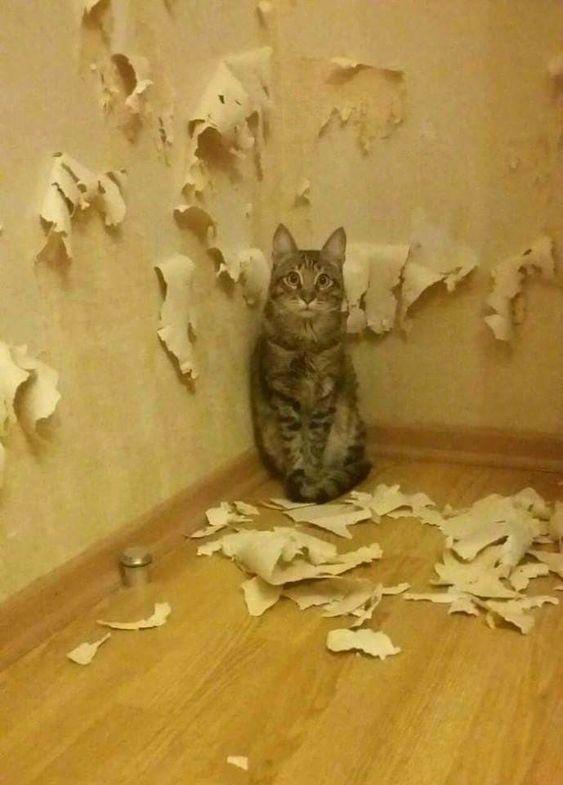 我犯错了吗
