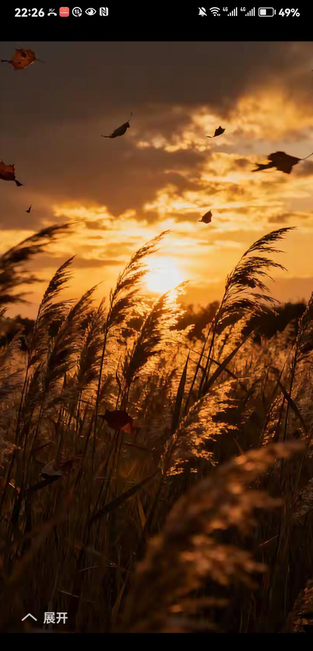 退休前的别样烦恼
前几年，无论在上班还是休班期间，碰见熟人或是刚认识的生人，总被
