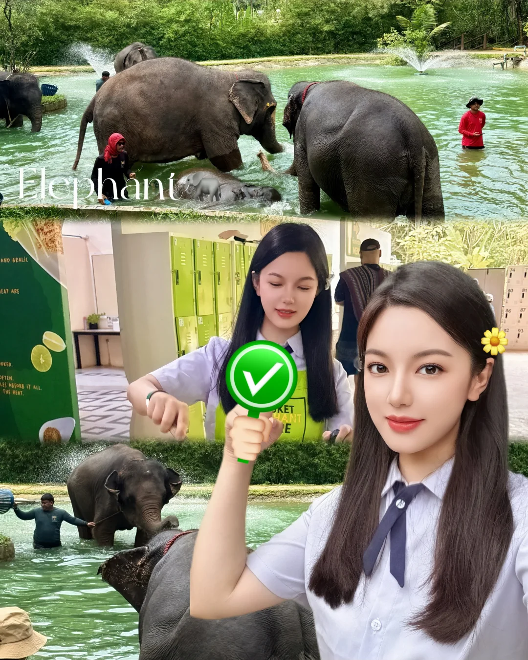 普吉岛🇹🇭大象营也太好玩啦🐘