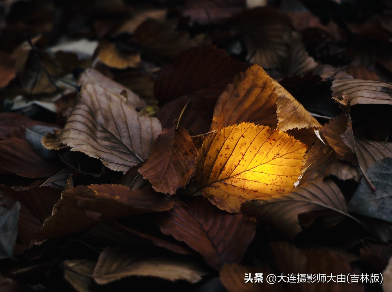 快来看看我新换的主页背景吧