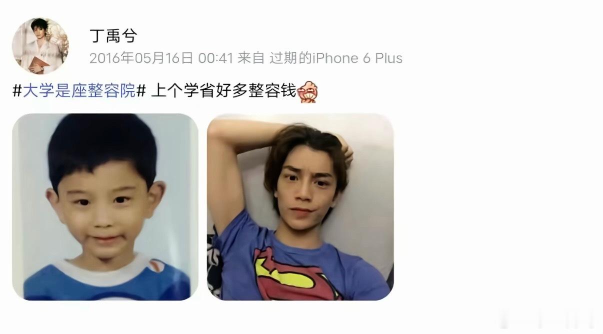 丁禹兮到底谁研究的呢