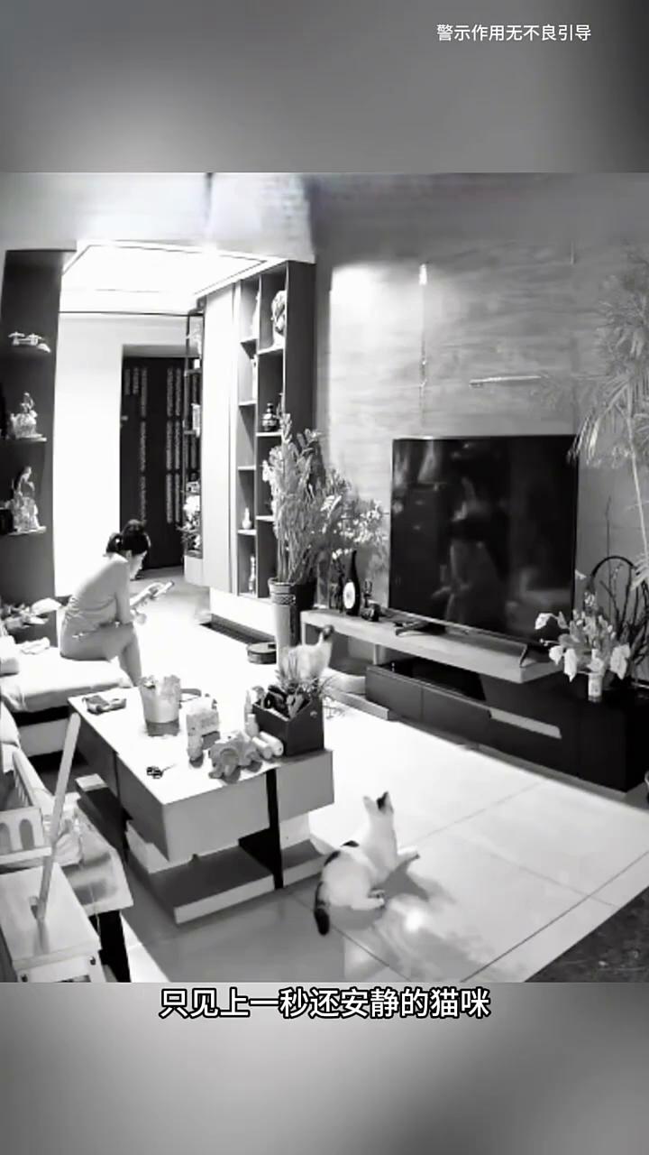 这是监控记录下惊险的一幕。画面中的女士坐在沙发上玩手机，猫咪则躺在地上睡觉。可危