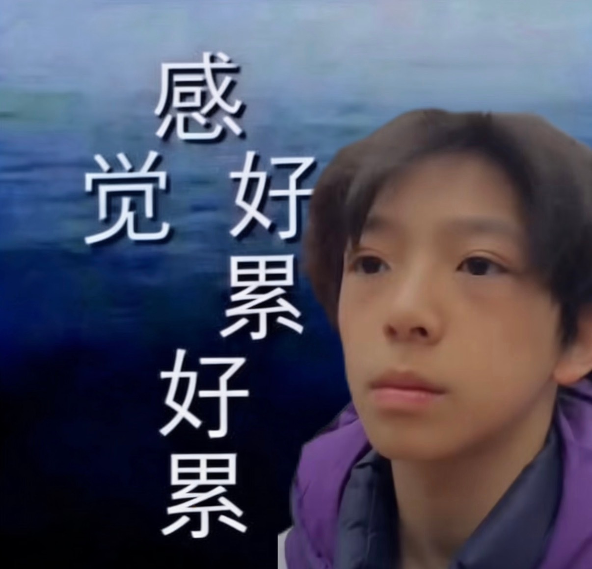 分享图片 ​​​