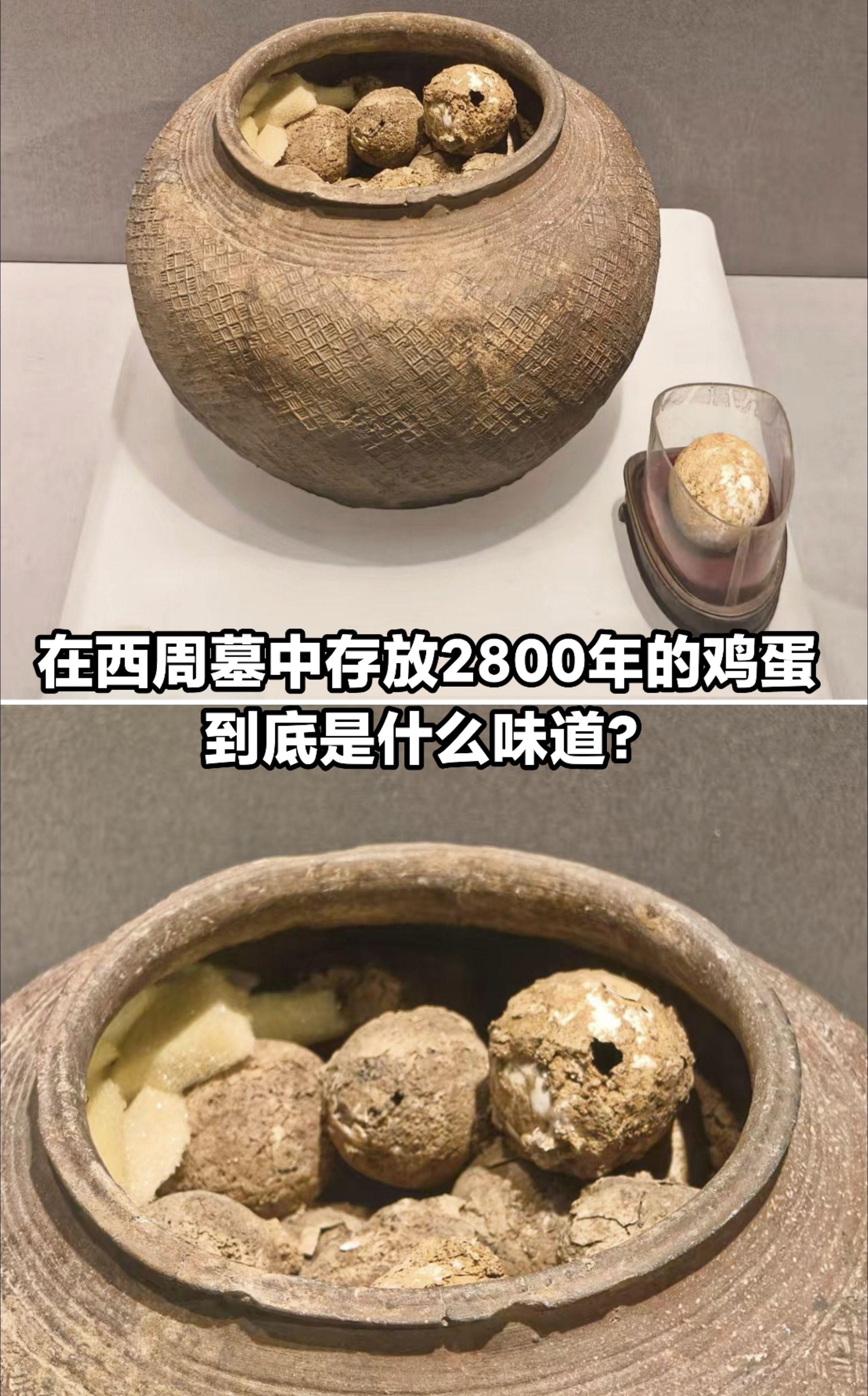 在西周墓中存放2800年的鸡蛋是什么味道。