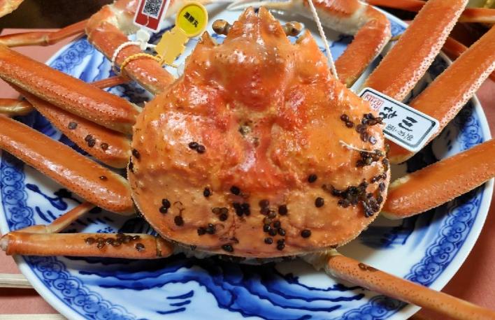 日本排放核污染水之后，出现了一个耐人寻味的现象：起初各国对日本海鲜敬而远之，可三