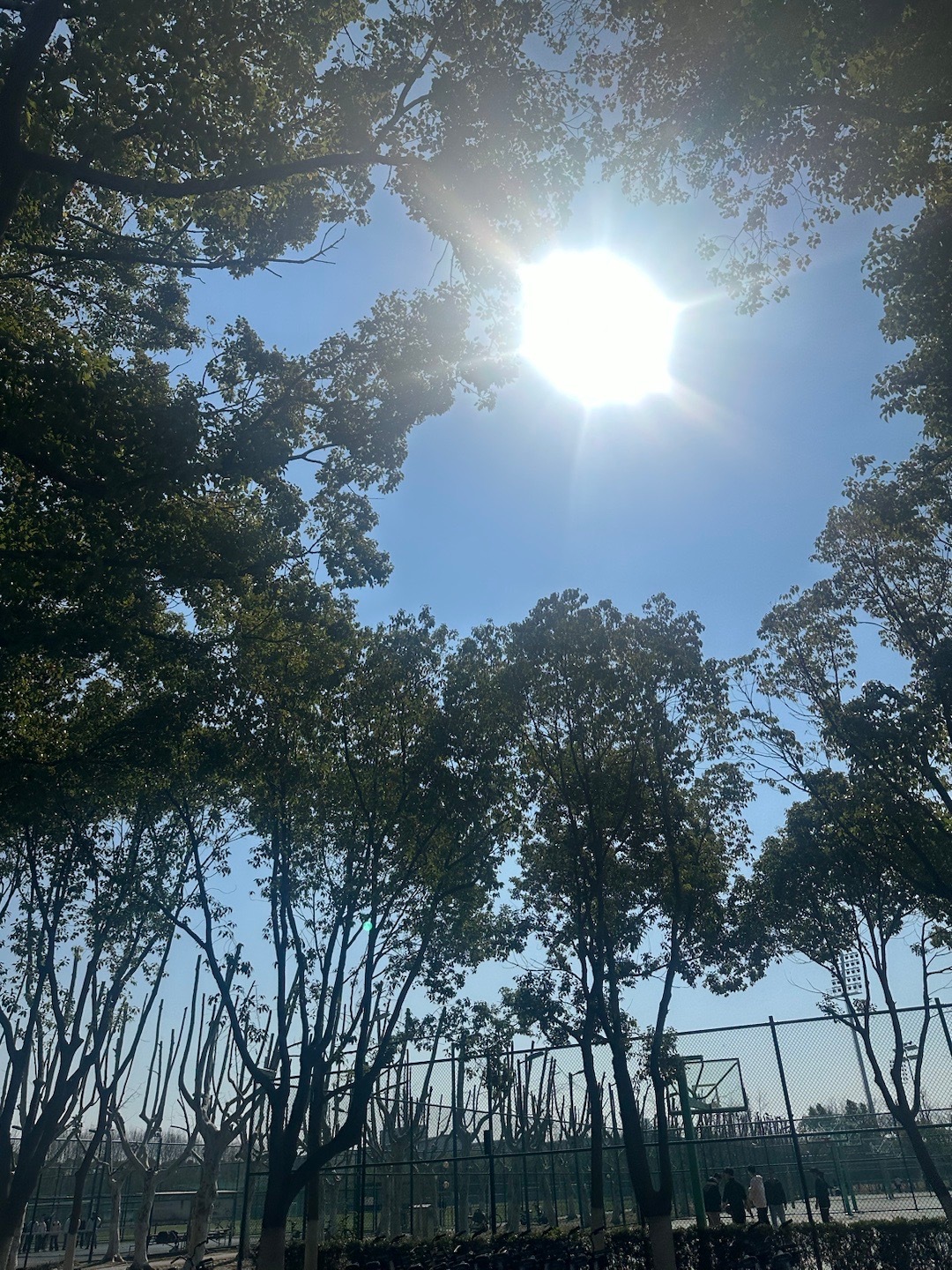 这周我每天都会去上课的 天气好好 ​​​