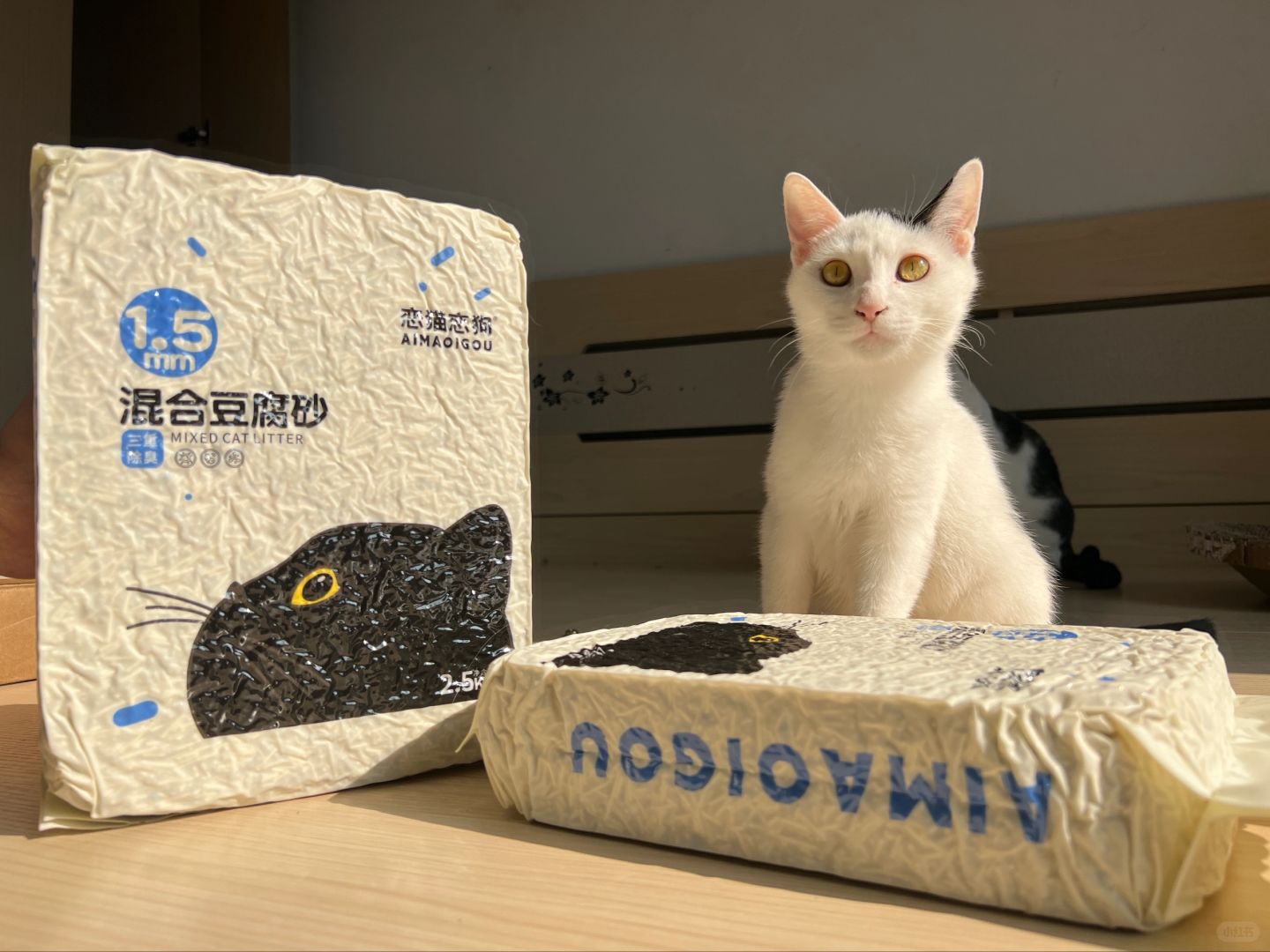 猫砂，小猫咪的淘气堡
