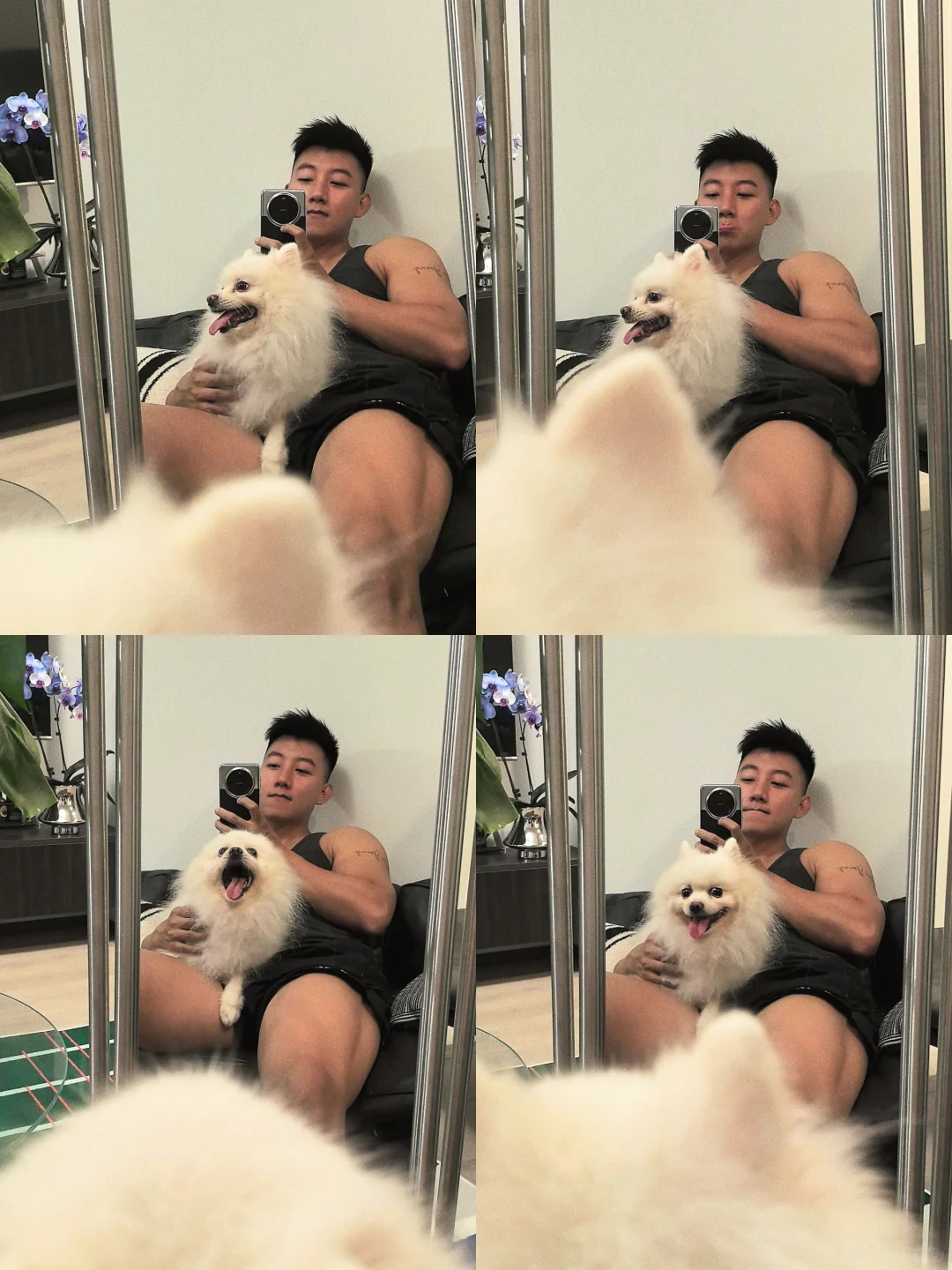 二选一，白的黑的🐶👦🏻