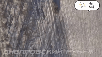 “柳叶刀”再来一套乌军的防空系统。一辆乌军的“箭10”防空系统沿着防风林活动，被