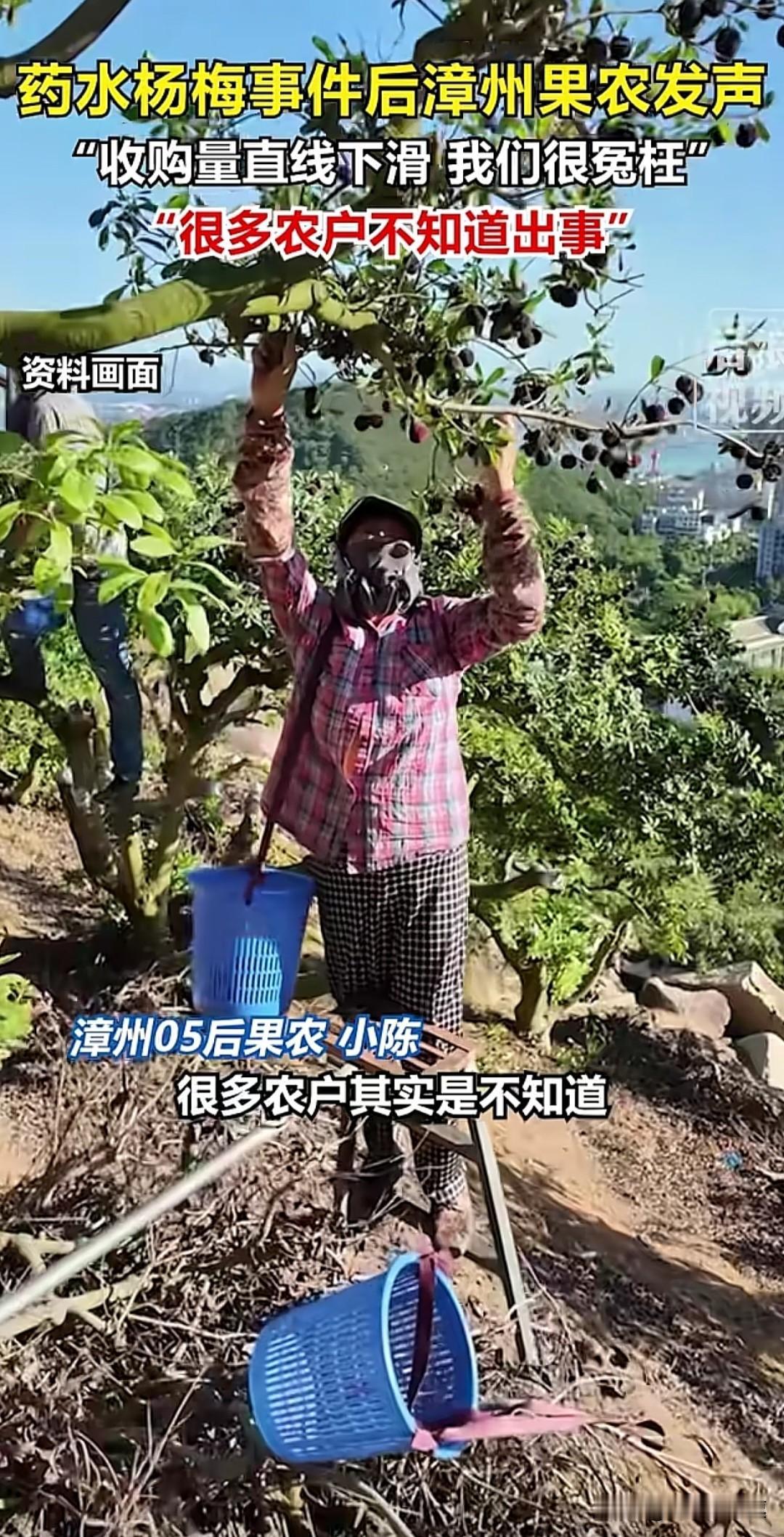 杨梅这种地域性水果，运输保鲜困难，即使运到外地价格也不低，肯定消量不大，也就是说