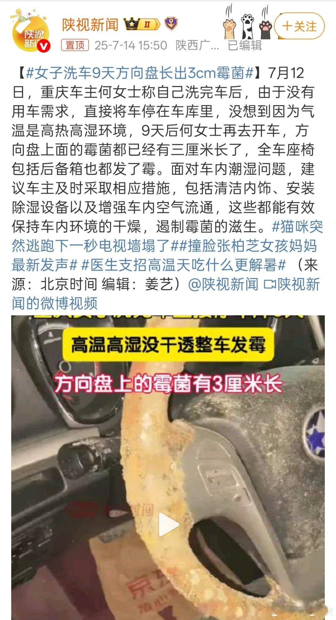 女子洗车9天方向盘长出3cm霉菌 洗完车要通风晾干，而且现在天热炎热确实很容易发