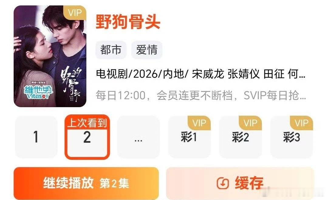 野狗骨头全集有广稳了，维他奶你很有眼光 
