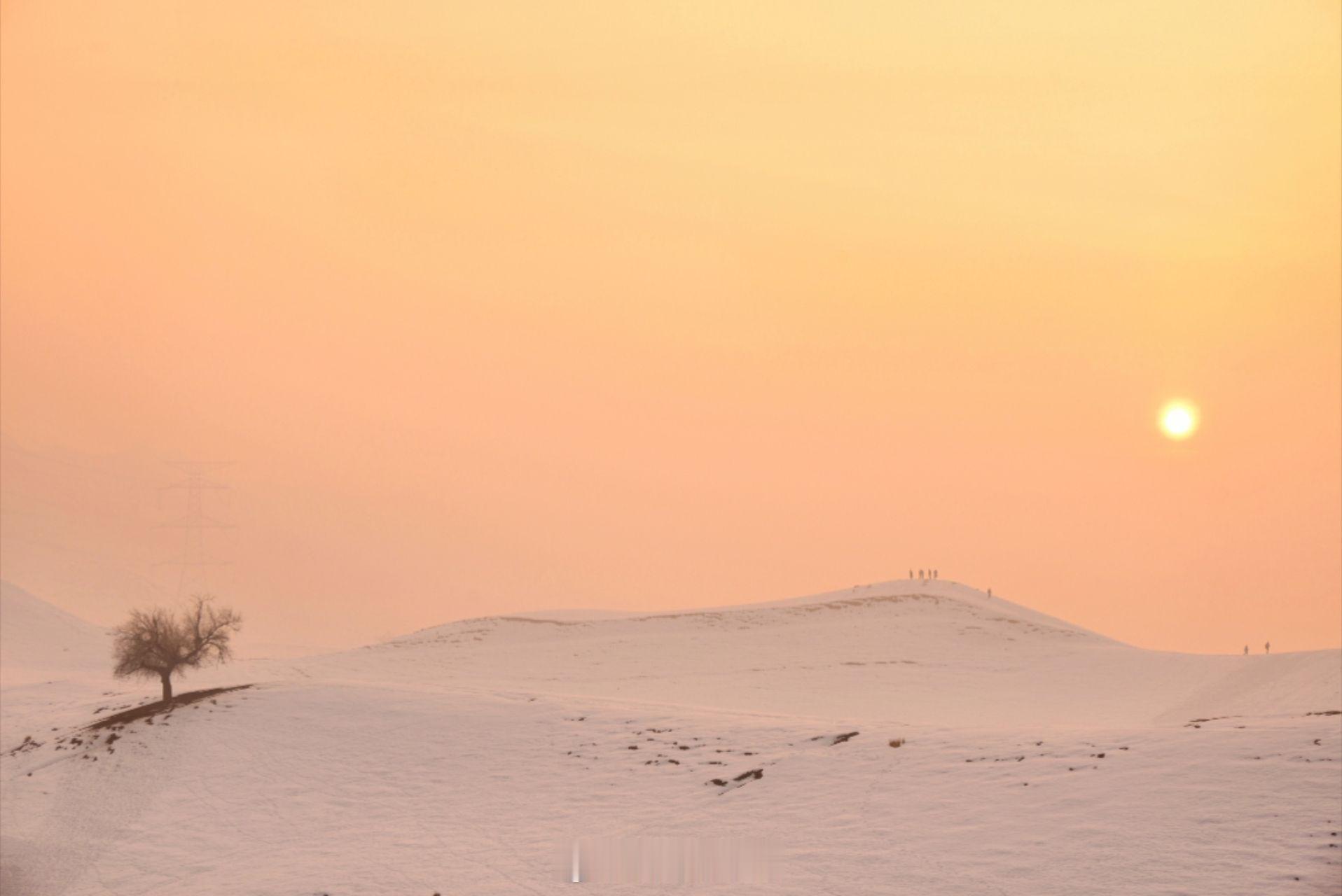 早上好小菌 冬日暮色，以最简笔触勾勒天地。晚霞似火，温柔了凛冽，极简中藏无尽韵味