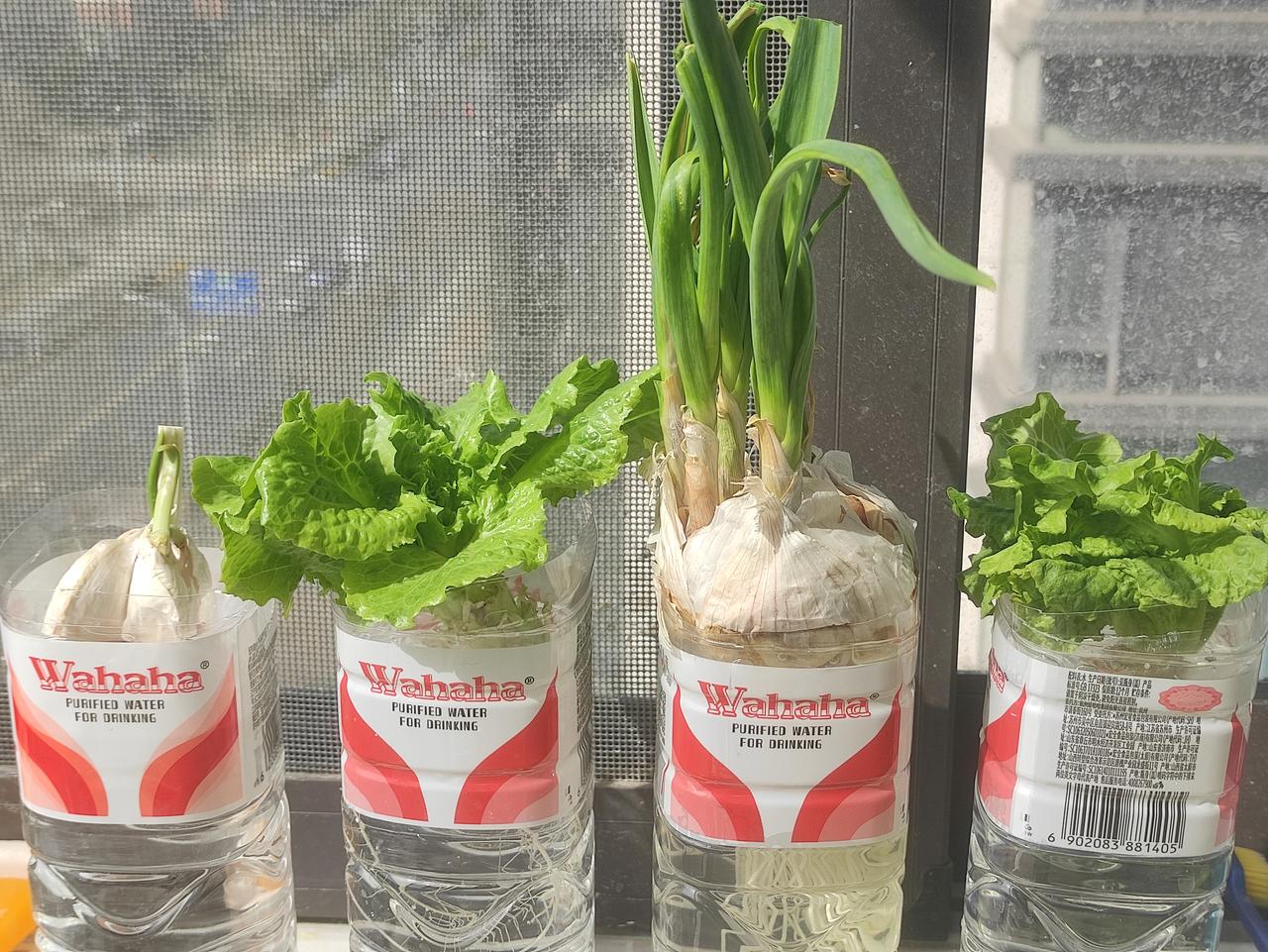 紫微斗数中，空宫能不能借对宫

紫微斗数命盘空宫，要不要借对宫呢？空宫，就是没有