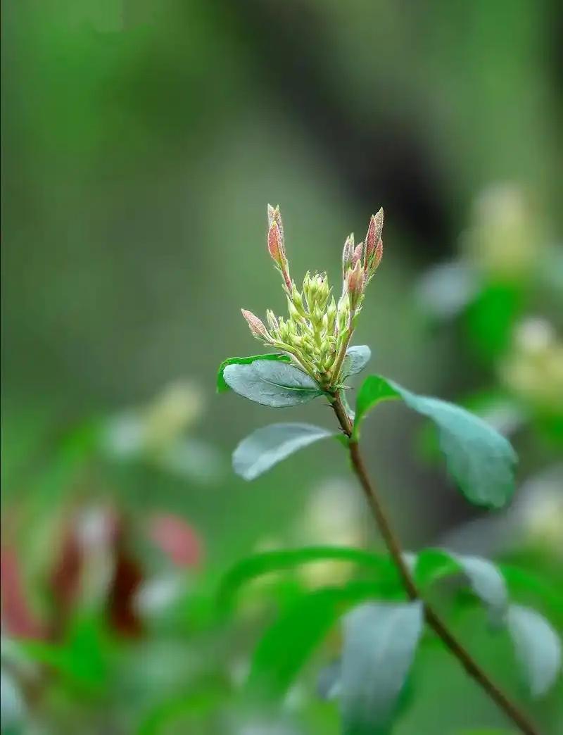 转运的六个小秘诀：
其实好运这件事，很多时候是自己"说"出来的。

1、住哪儿，