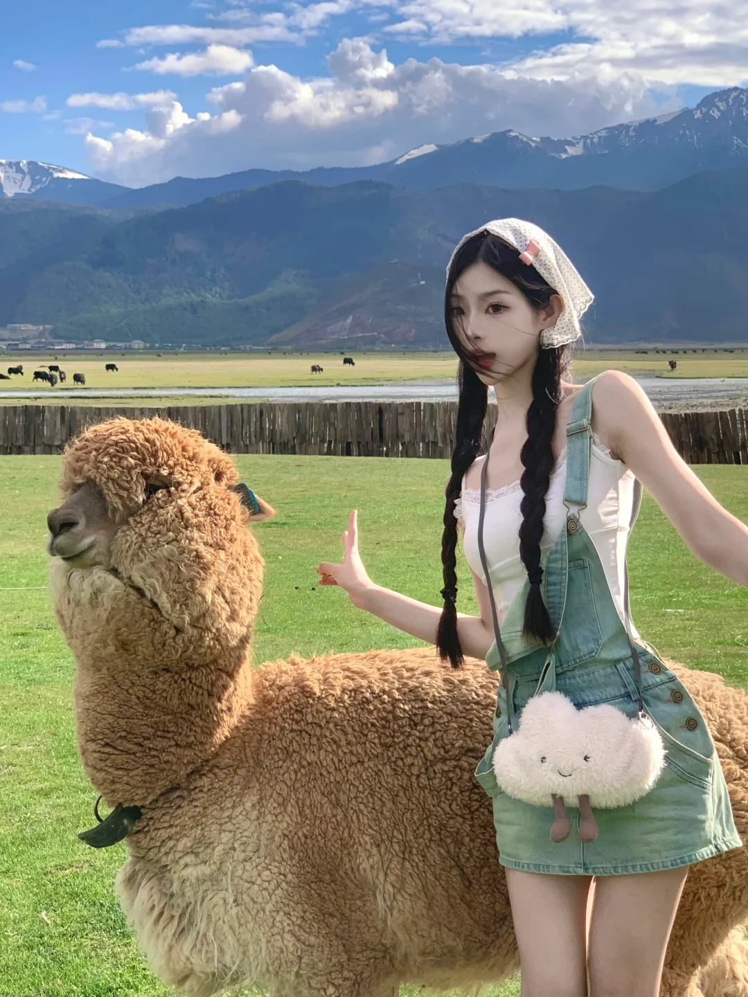 治愈系拍照📸｜小羊驼🦙🤤