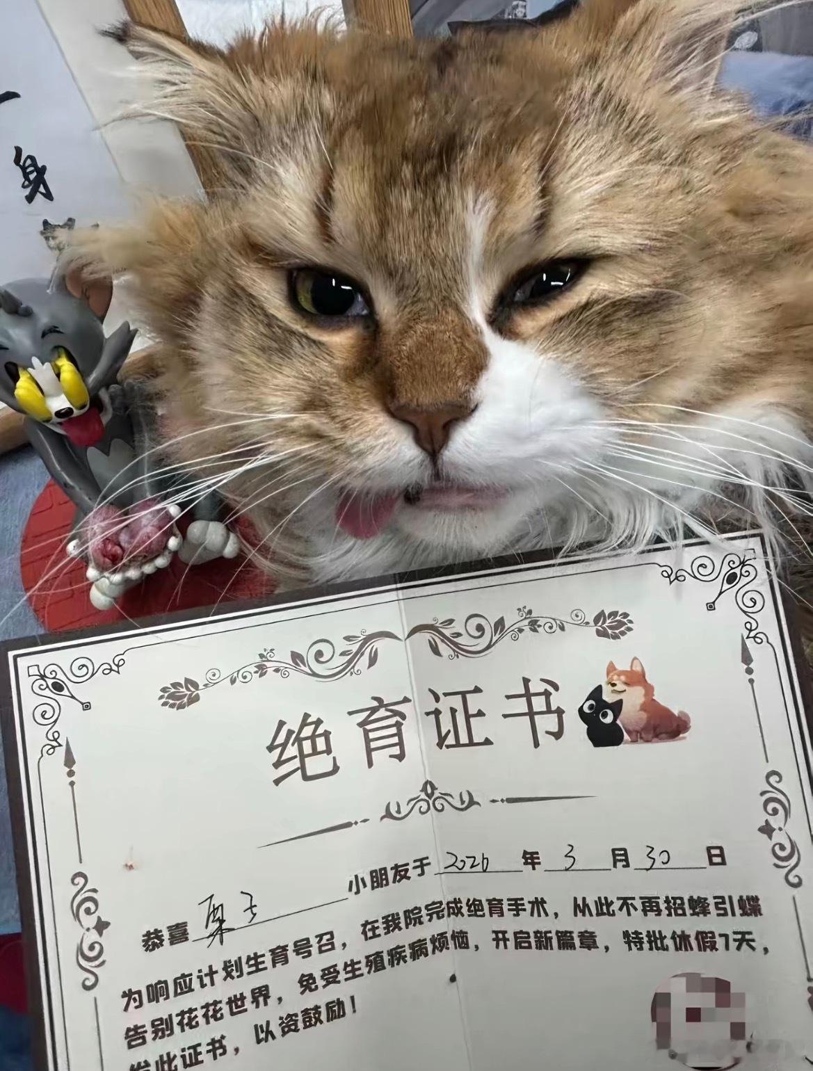 对不起祖宗…笑话