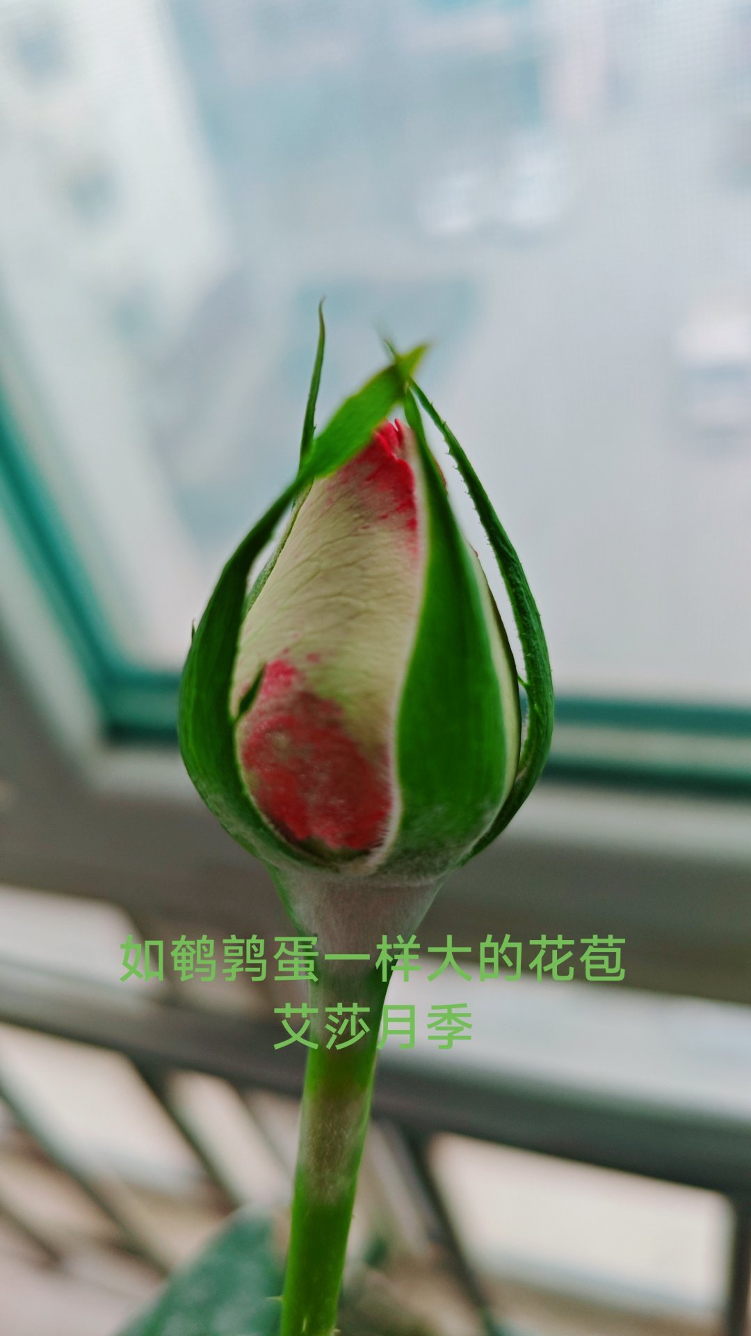 小岛兴田 持续吐槽一个人，我也会受影响，感觉全是负能量！有的人，长年累月黑一个人