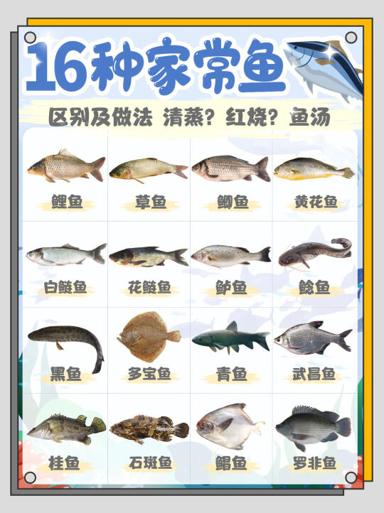 厨房里的家常鱼做法～～～