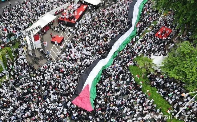 11月29日是“声援巴勒斯坦🇵🇸人民国际日”。当天，英国、法国等国爆发大规模