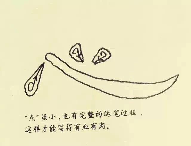 书法干货：隶书《曹全碑》十一种基本笔法图示   #书画界艺术[超话]# #书画道