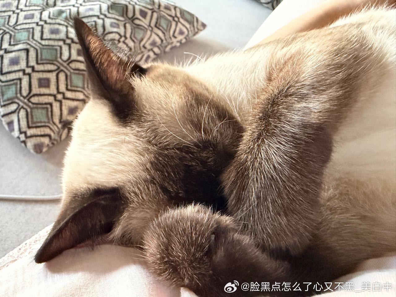 晚安逼罗