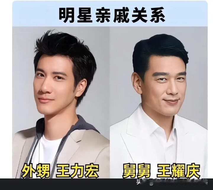 10组隐藏明星亲戚，最后一对没人能猜到
 1.王力宏&王耀庆：外甥和舅舅
2.陆