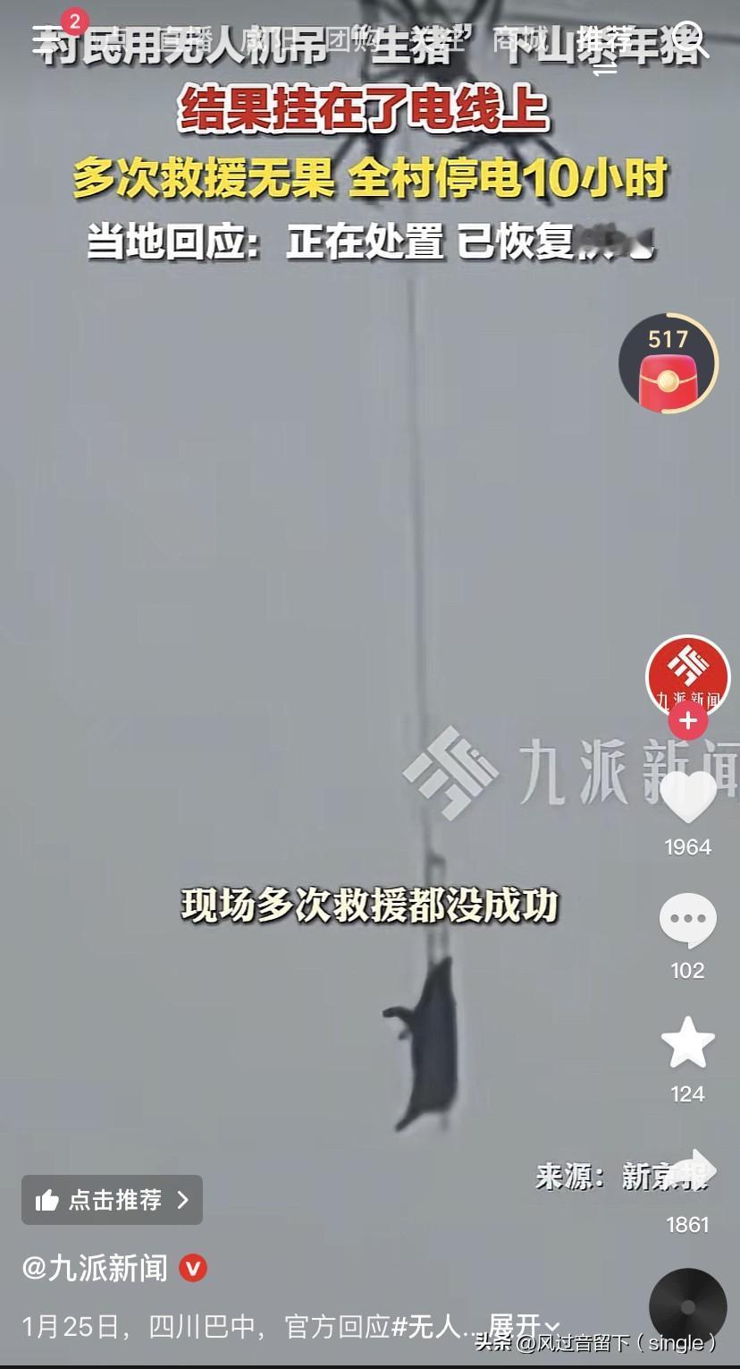 挂电线上了，这是要笑死人啊！
1月24日，四川巴中村自杀年猪，用无人机把猪空运到