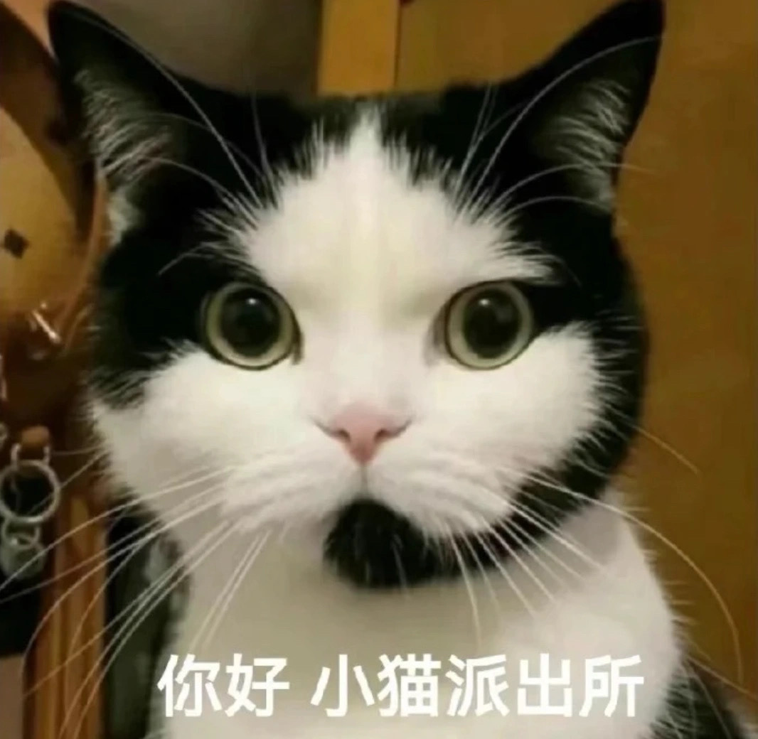好用表情包合集 ​​​