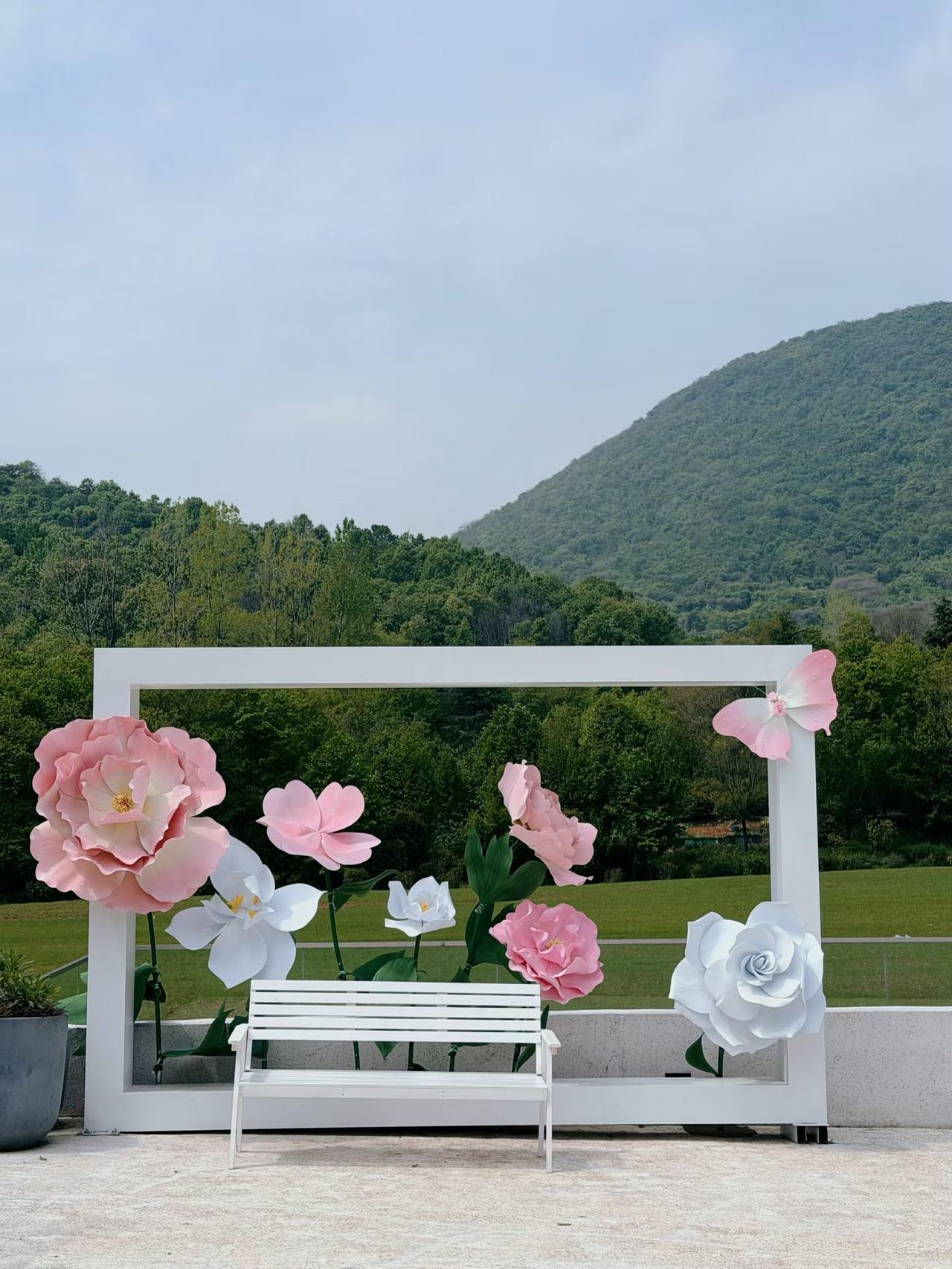 花儿的美正正代表心情！