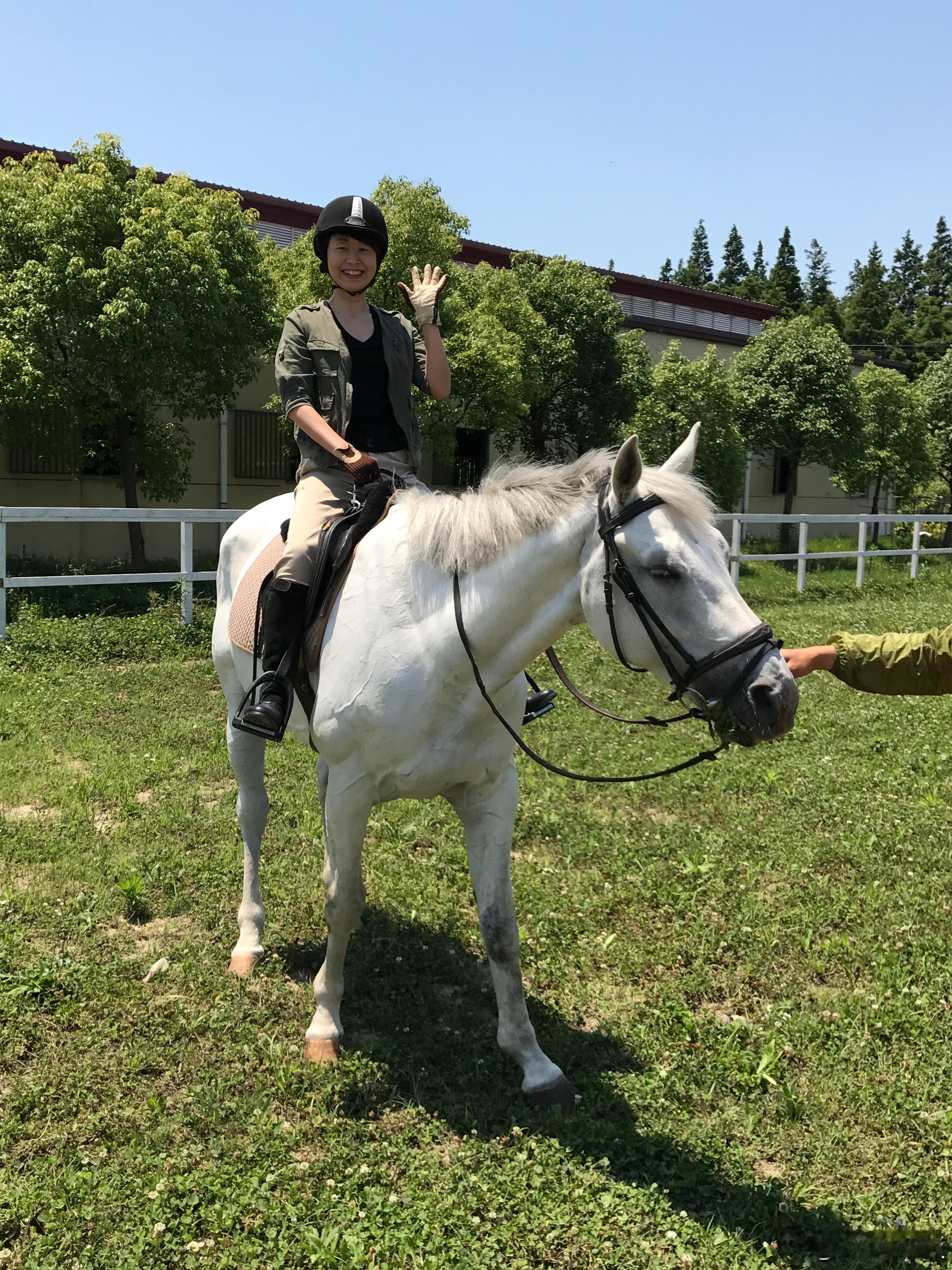 有一次问你，你知道我最喜欢的动物是什么。你想了大概五秒钟，说：马。马年吉祥。新年