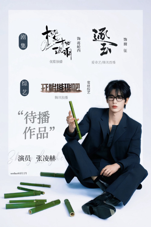 姐姐想让柯淳跟张凌赫搭戏别带张凌赫❤️❤️粉张凌赫的有福啦！！95生里一骑绝尘，