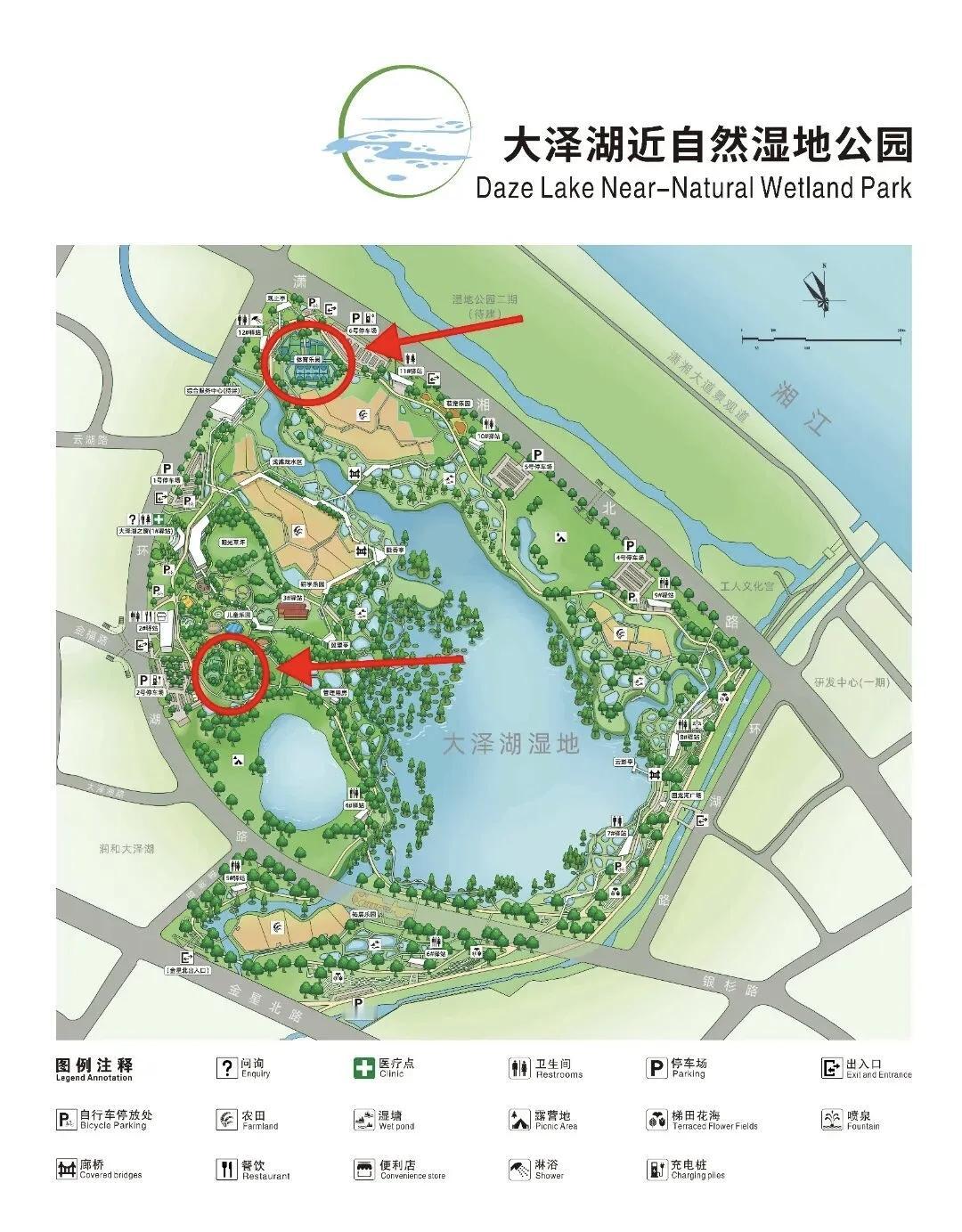 大泽湖近自然湿地公园的体育场地规划得十分清晰，主要分为体育乐园区和儿童乐园区两大