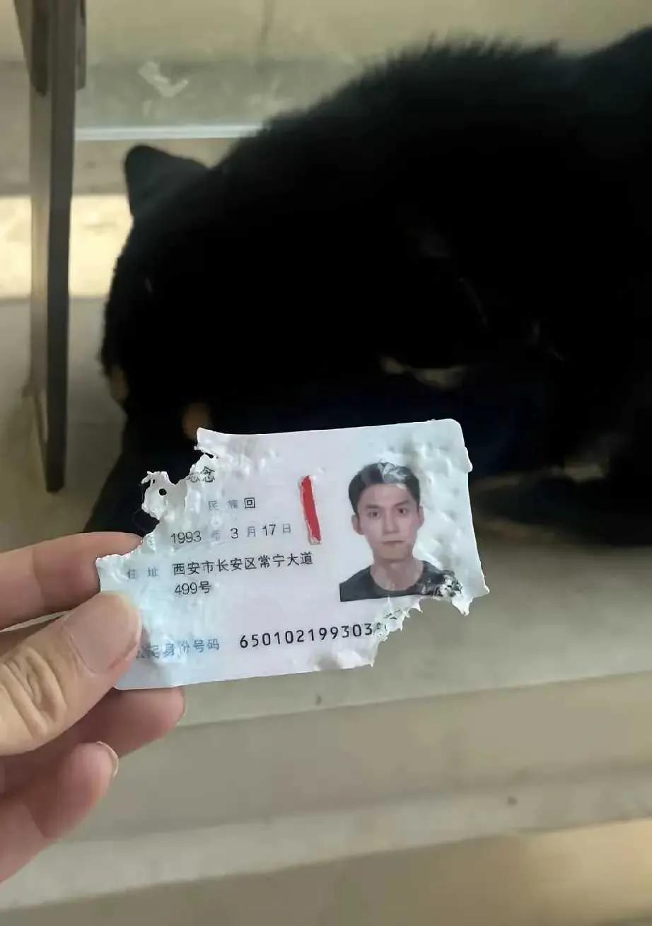 一觉起来天塌了，下午还要出差，咋办？
