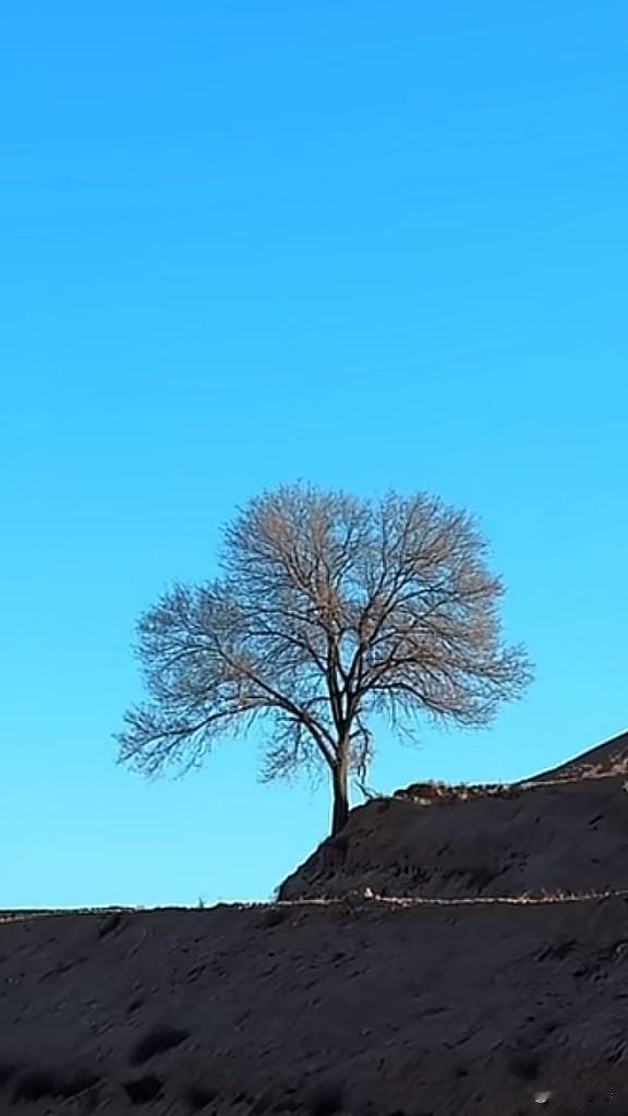 中老年人的世界，宜将情绪调成静音。相较于有人左右情绪，更适应无人问津。无需惧怕寂