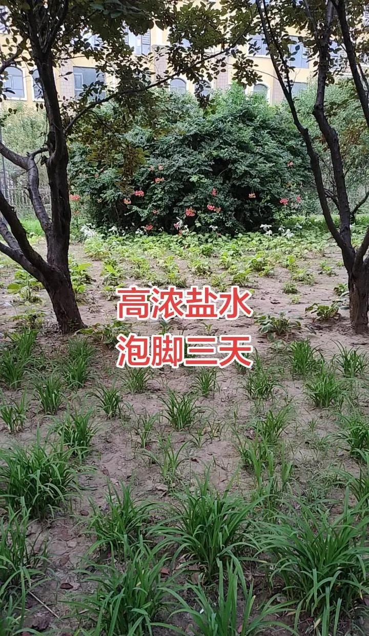 这就是国乒核心的抗压能力!落后不慌、绝境不崩，逆风翻盘才是最燃的主场!太稳、太热