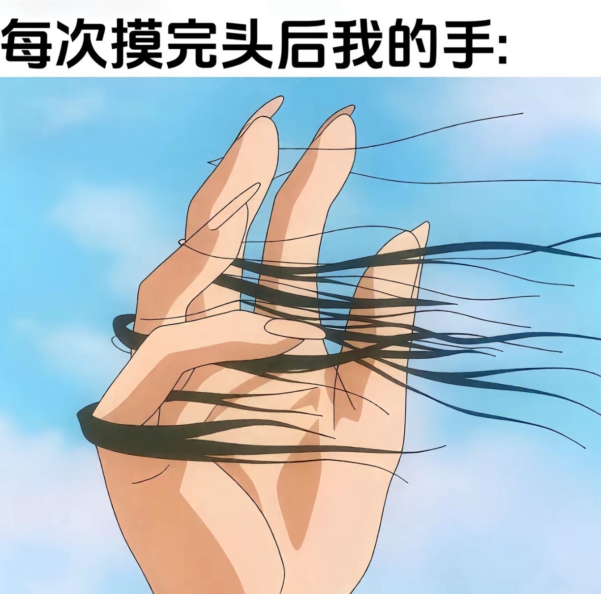 发量和发际线是我一生的坎儿 